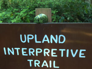 Pretty little 'Peace' rock found during a run on the trails.