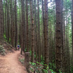 Oyster Dome hike near Everett, WA.